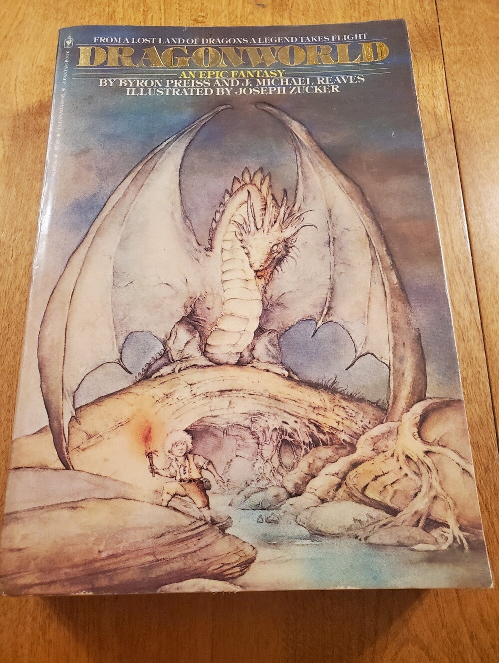 Dragonworld Byron Preiss and Michael Reaves Illustrated Bantam PB 1979